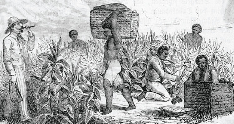 Unearthing the Tragedy of British Rice Taxes and the Indian Famine