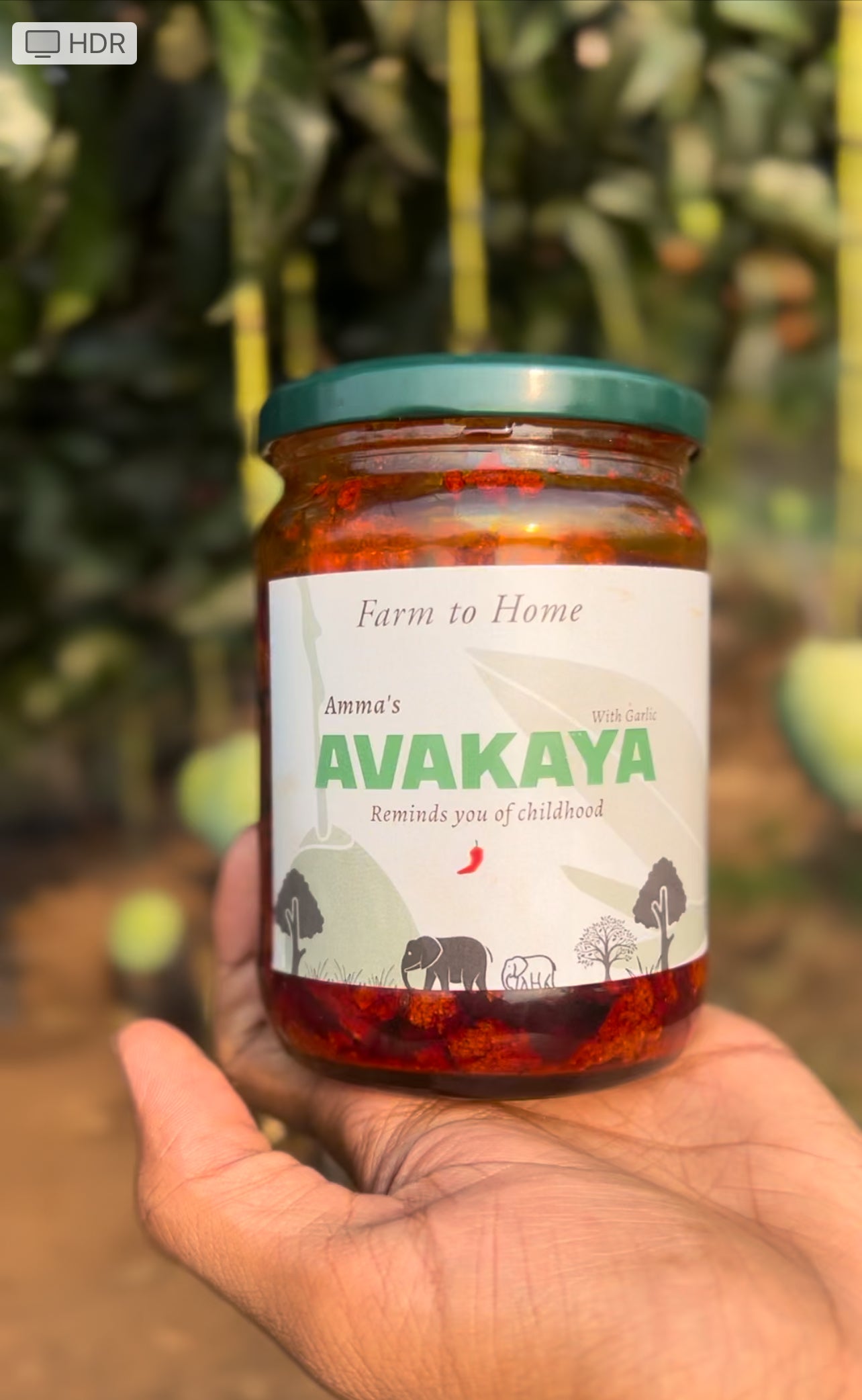 Avakaya