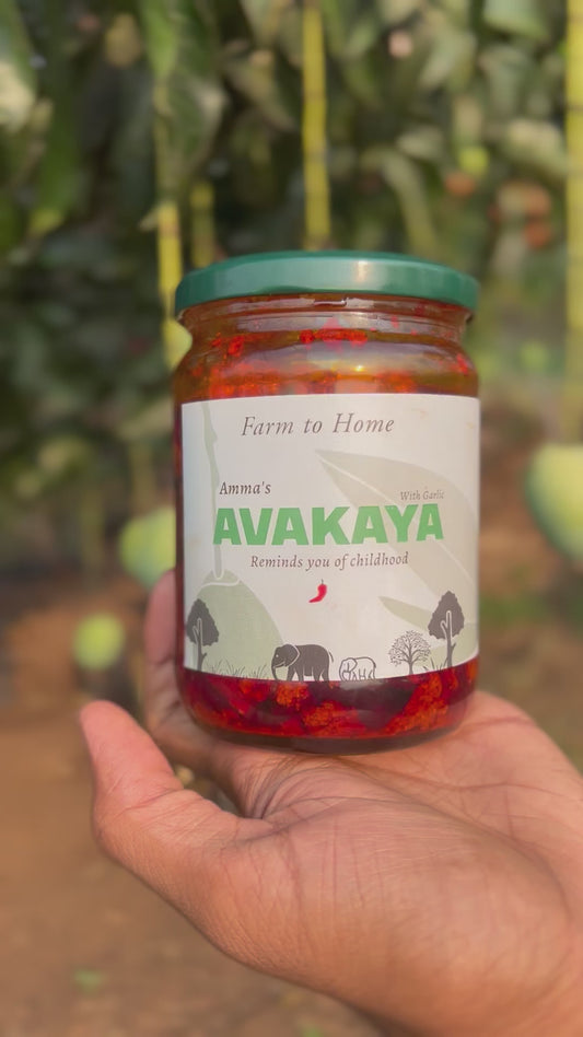 Avakaya